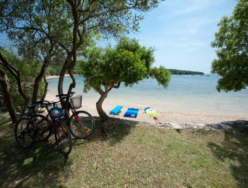 Casa Leona Apartment Rovinj Exterior foto